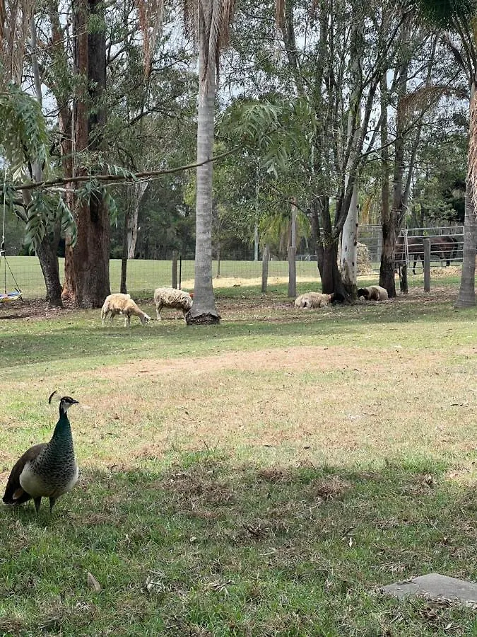 Tamborine Guest House